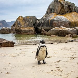 Highlights of South Africa