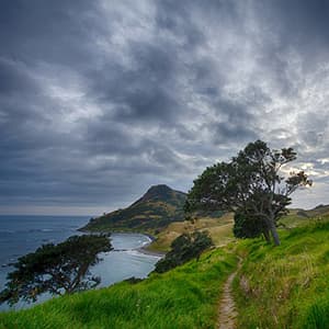 Best of New Zealand with Fiji