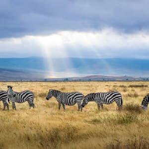 Tanzania: The Serengeti & Beyond with Zanzibar